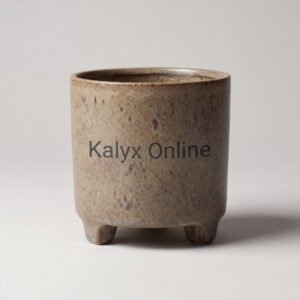 Ceramic Planter